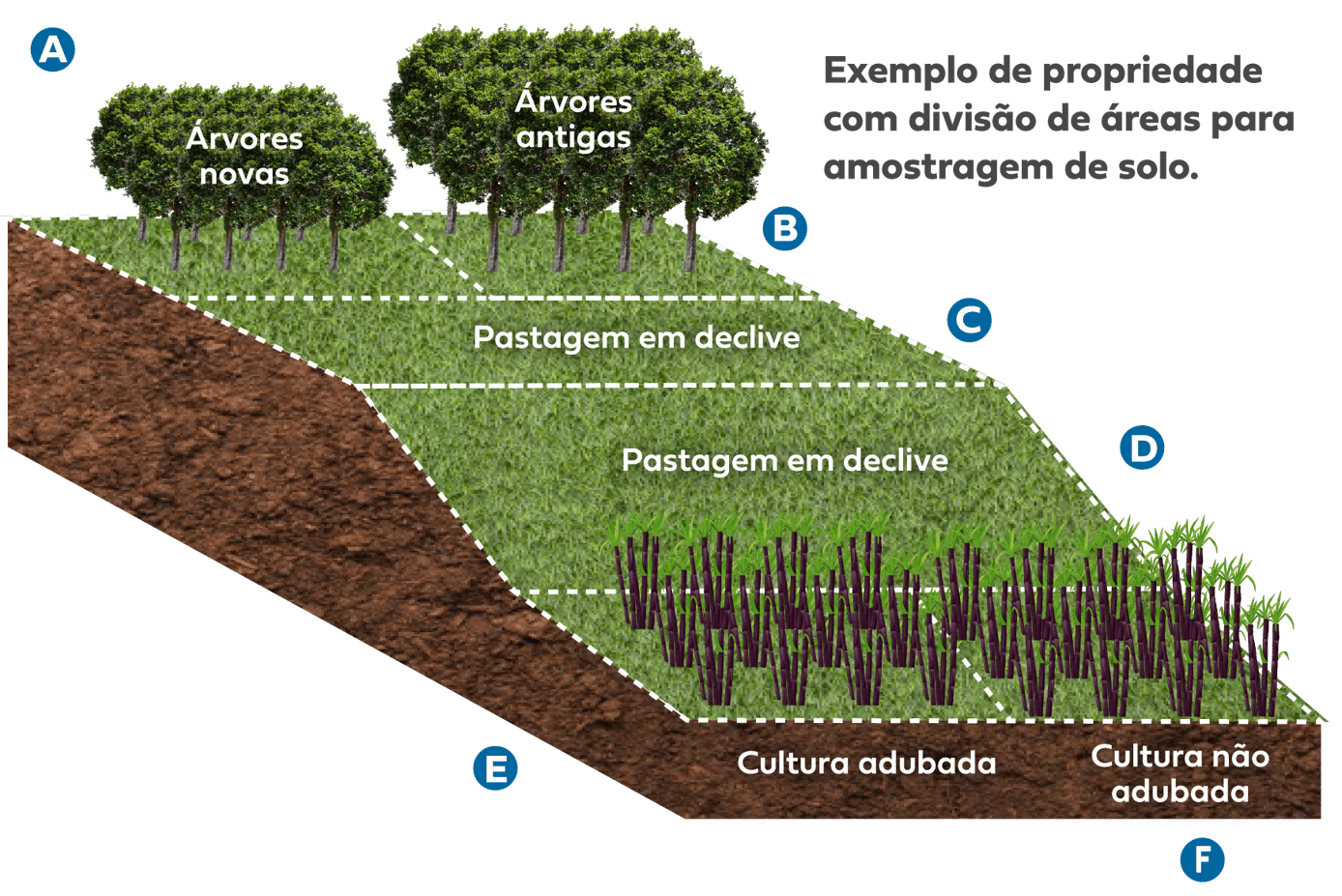 O que é Amostragem de Solo e 4 passos para realizar na sua propriedade