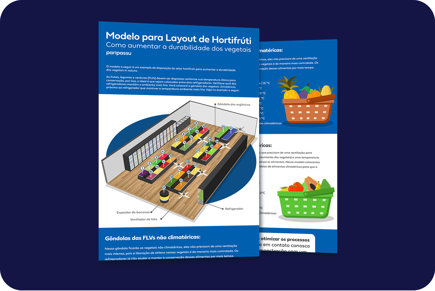 Modelo para Layout de Hortifrúti